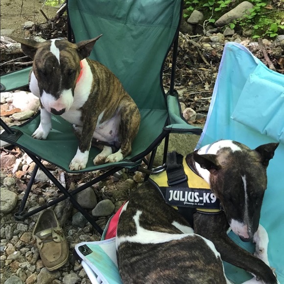 Meet your Posher, Meghan - Picture 5 of 6